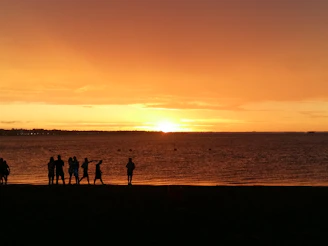 A lively group of travelers enjoying a sunset on a tropical beach.