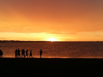 A group of happy travelers enjoying a sunset view on a tropical beach