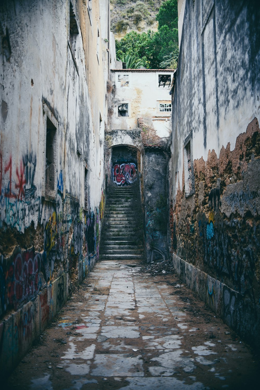 empty pathway filled with graffiti