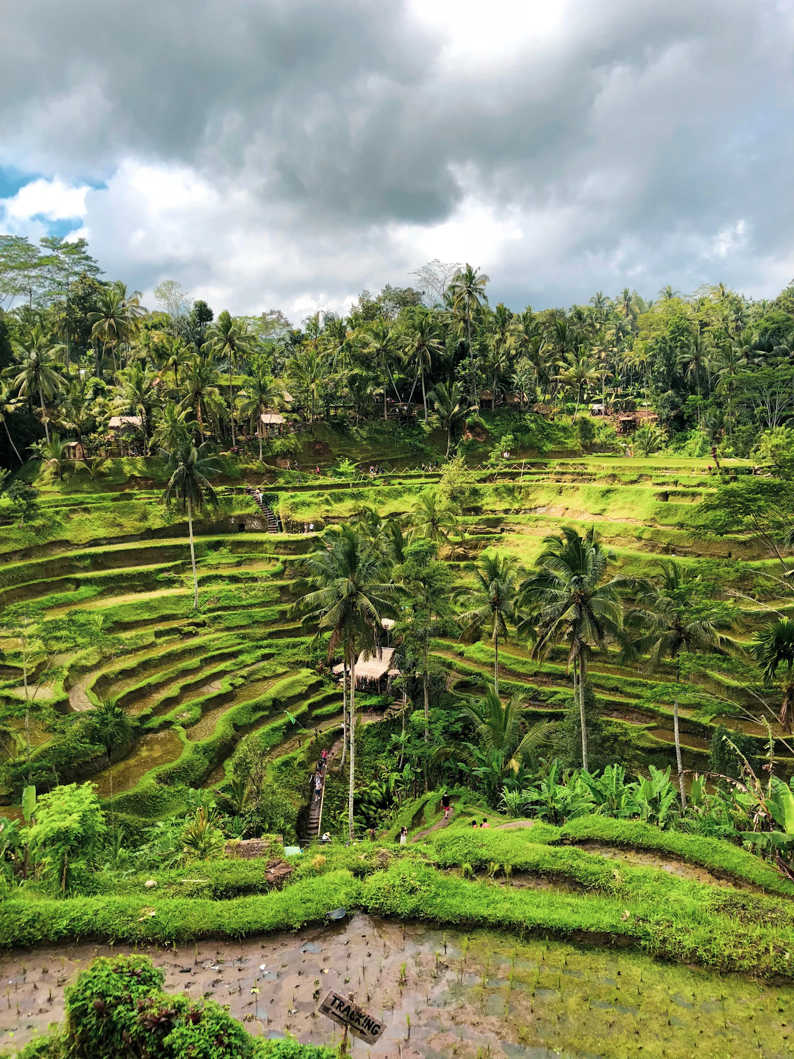 2-Day Ayung River Whitewater Rapids & Deep Jungle ATV Safari