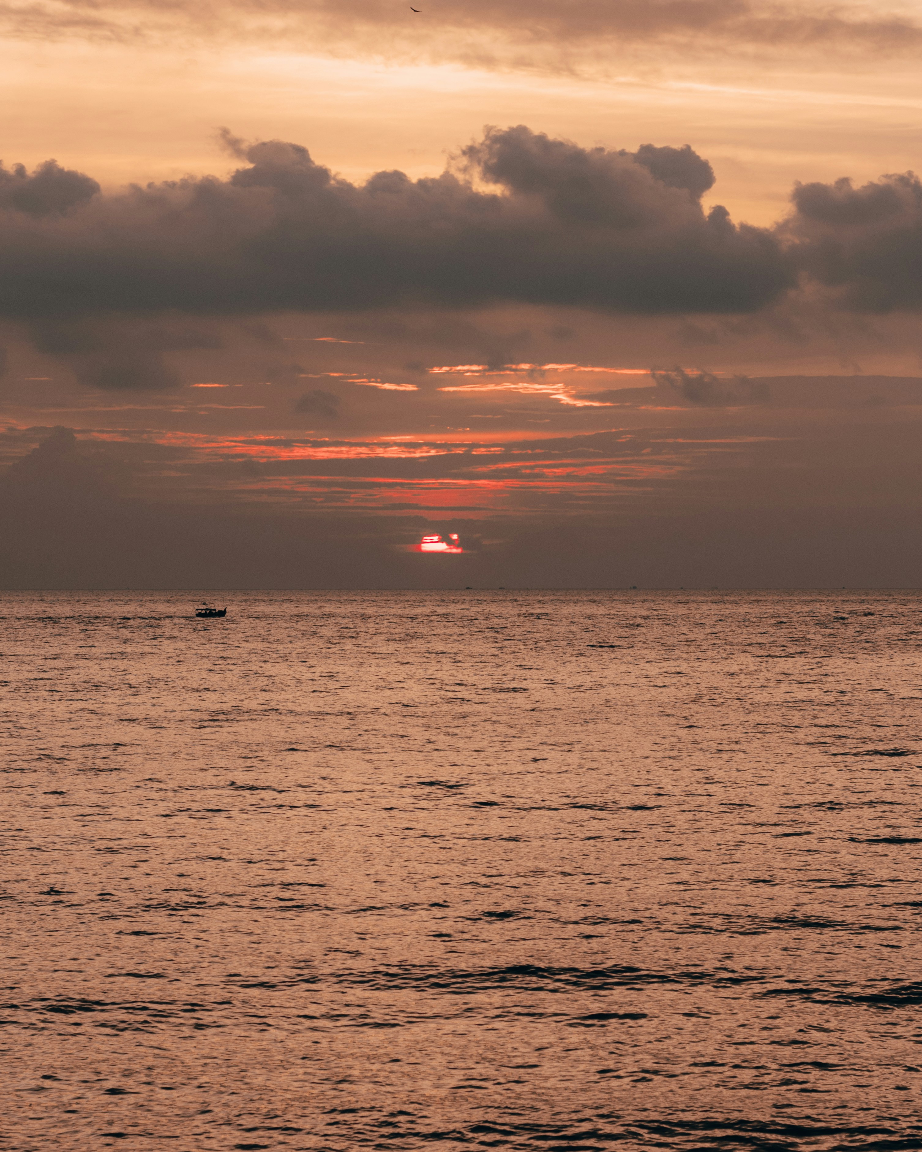 Photo by zhuzhutrain