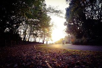 A vibrant sunrise over a peaceful park where people are jogging and practicing yoga, embodying the spirit of healthy living.