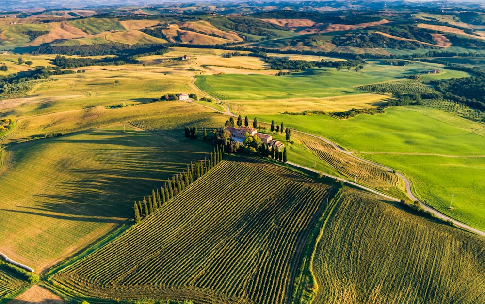 high-angle photography of green field at daytime