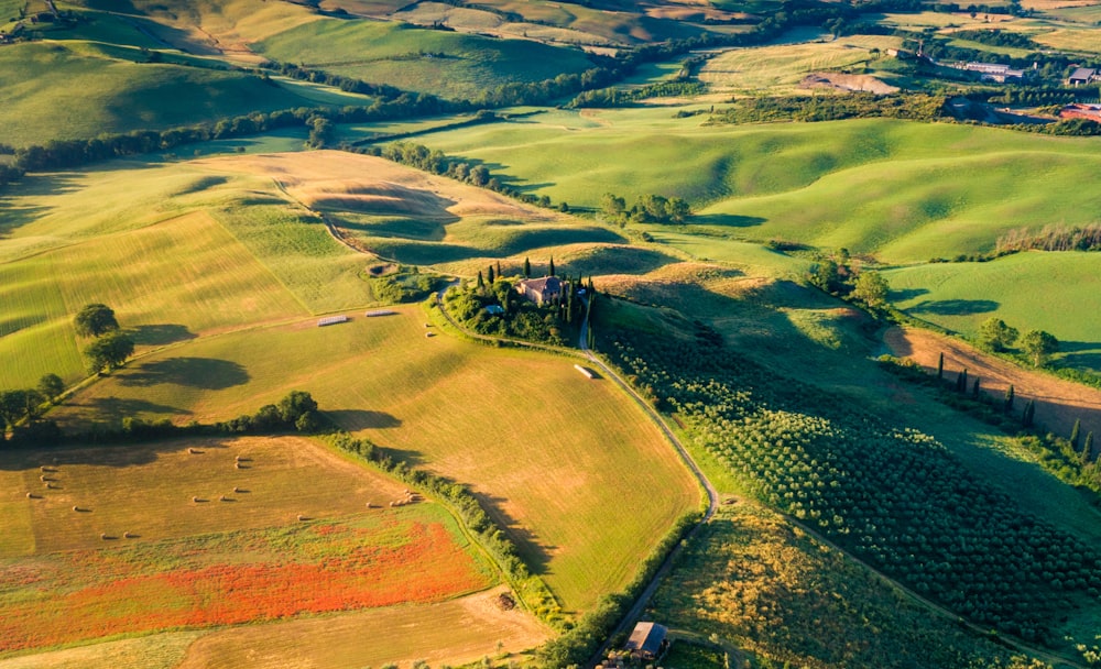 aerial view of green field