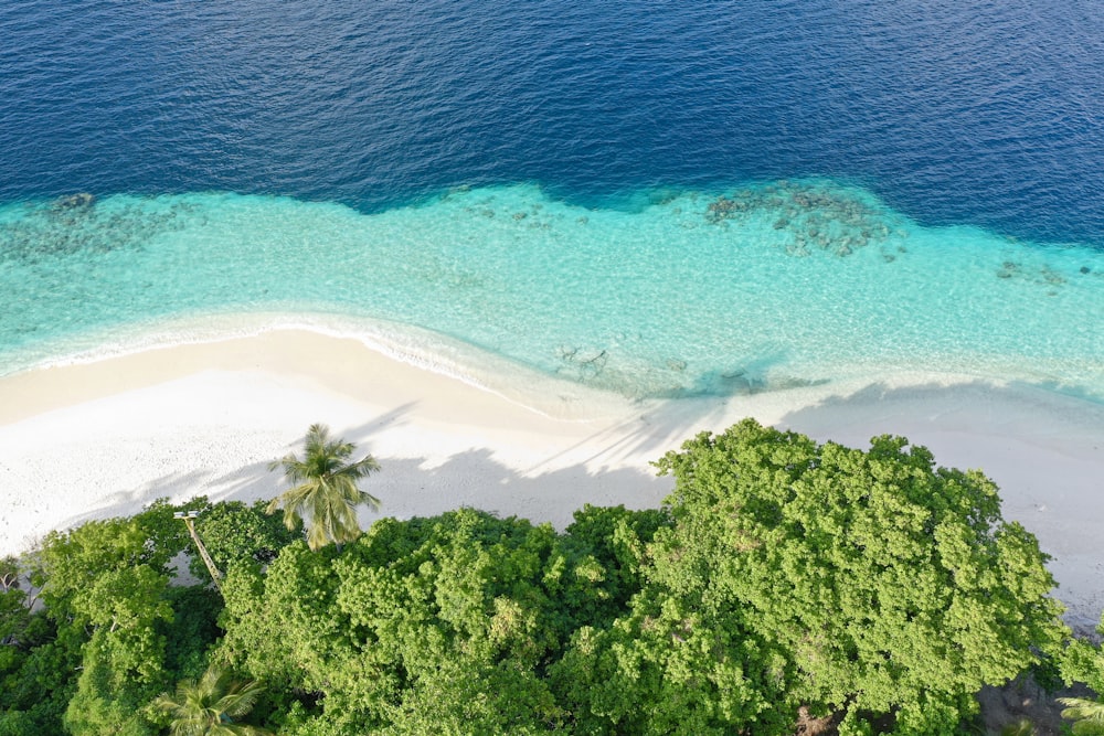 aerial photography of empty white shore during daytime