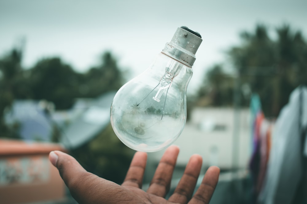 person catching light bulb during daytime