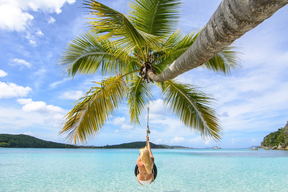 woman hanging on coconut tree at sea