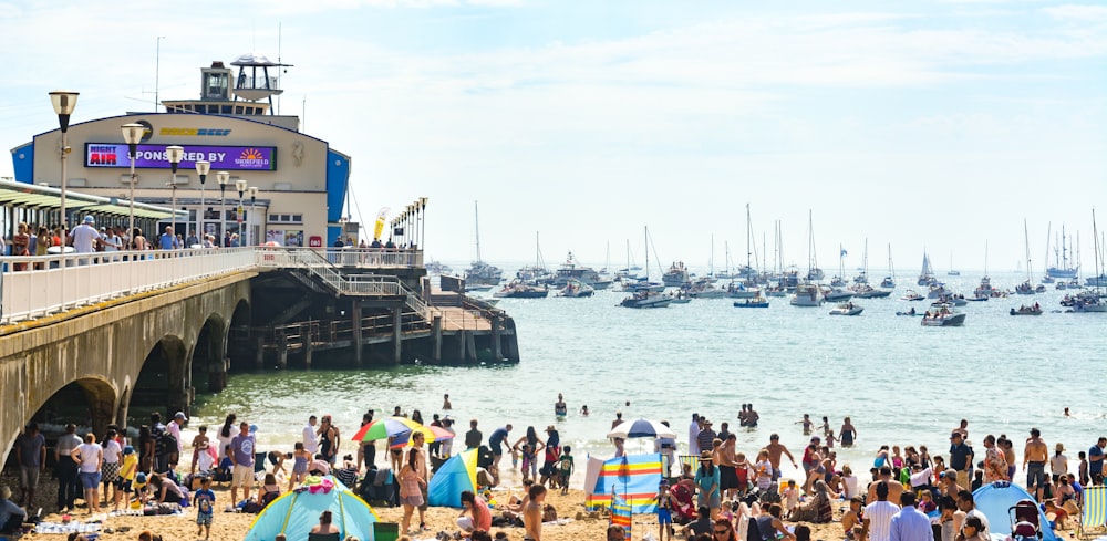 Personnes près du bord de mer pendant la journée