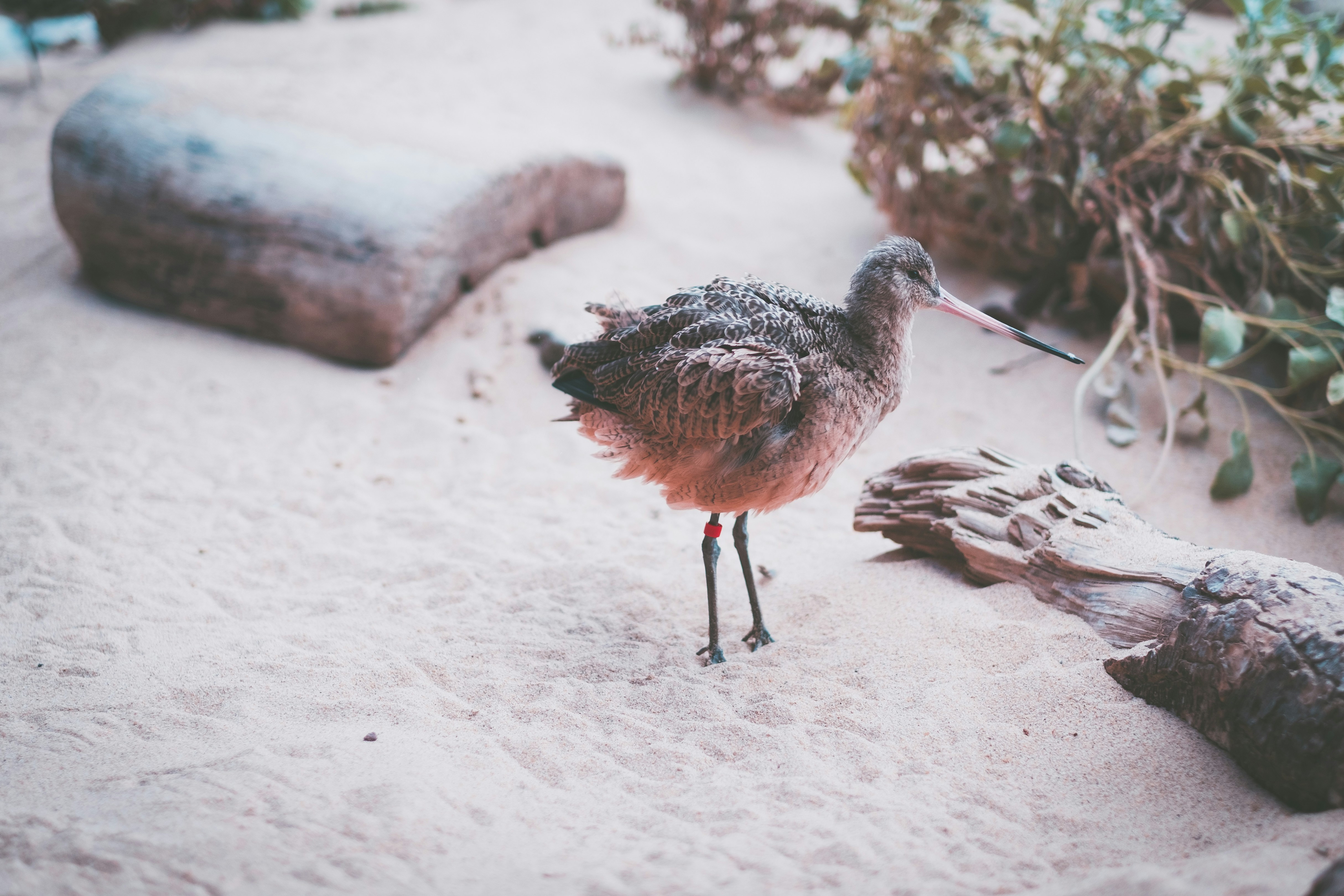 Photo by lanceanderson