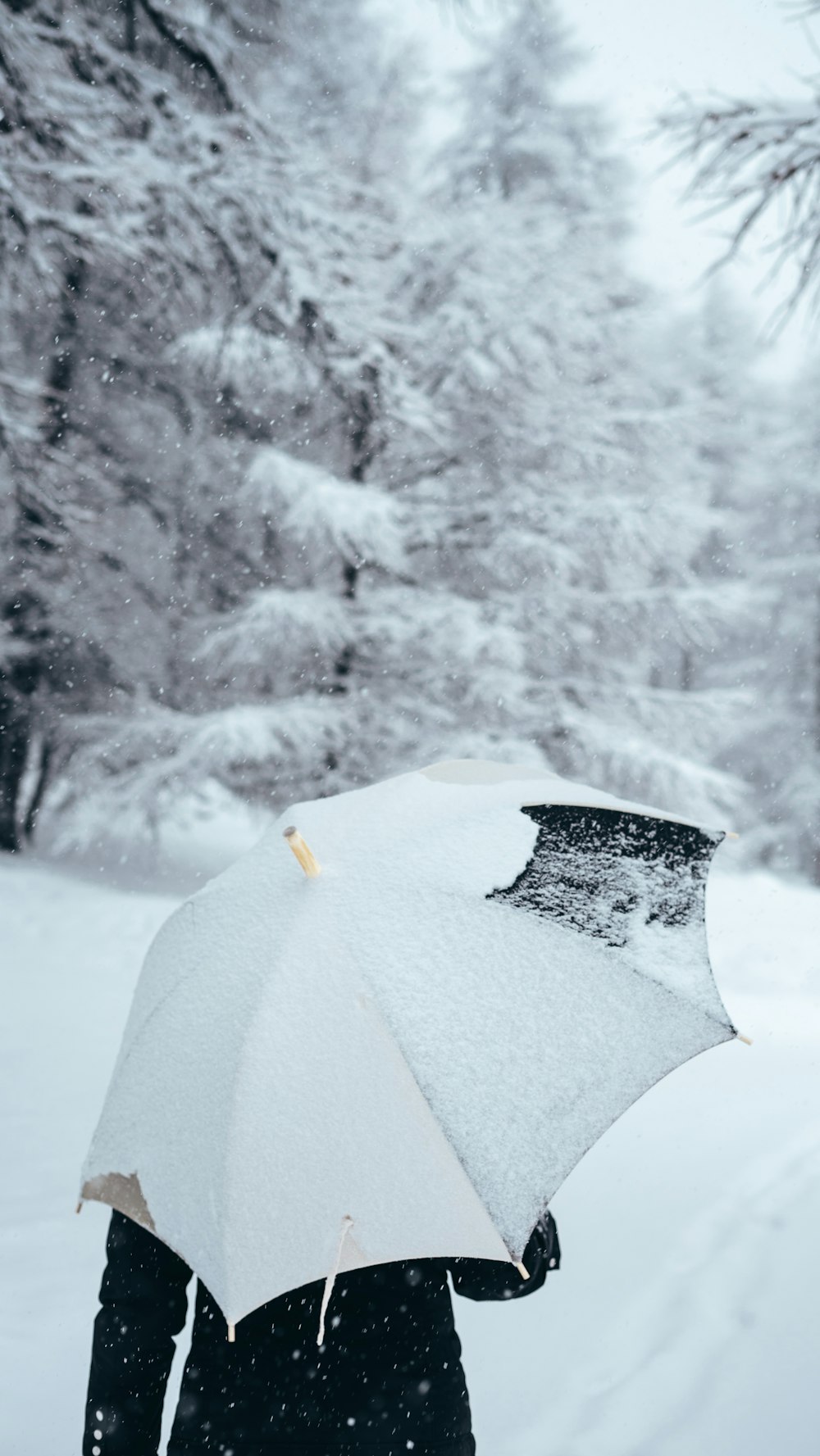 personne utilisant un parapluie marchant sur un champ de neige