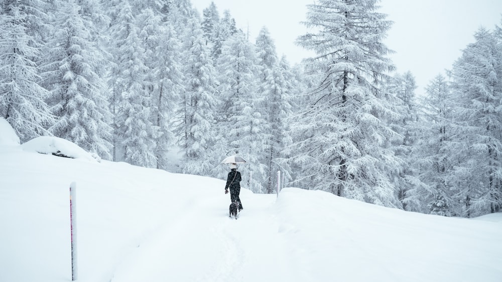 hombre caminando sobre un campo cubierto de nieve
