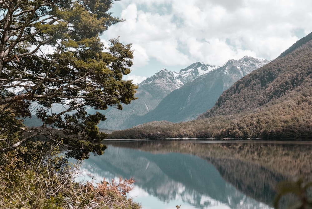 calm body of water during daytime