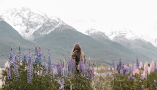 person standing near purple flowers