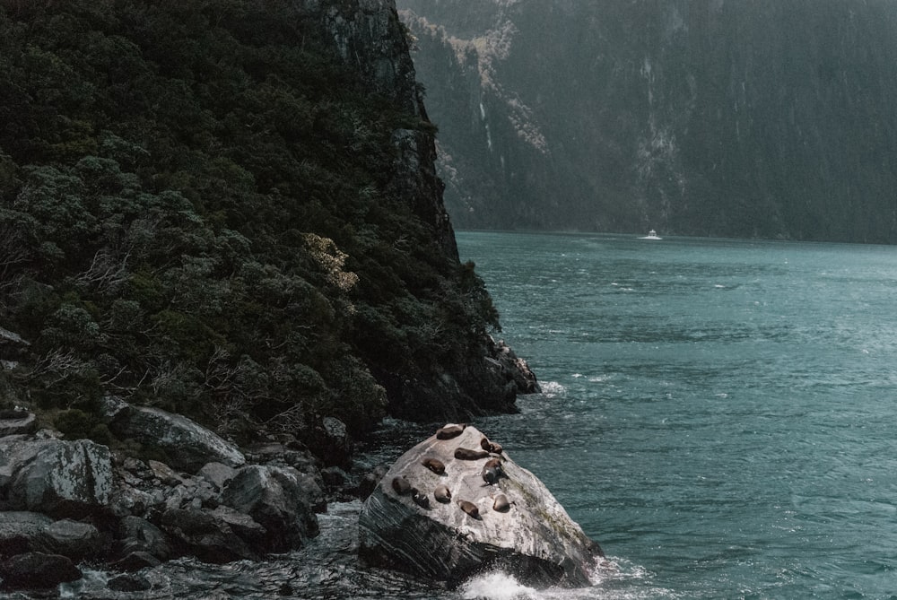 rock formations near body of water at daytime