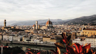Florence during daytime