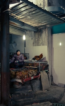 A person is sitting beside cages filled with chickens under a corrugated metal roof. The setting is dimly lit, with a single hanging light bulb illuminating the area. The walls are worn and the overall atmosphere suggests a rustic or traditional market environment.