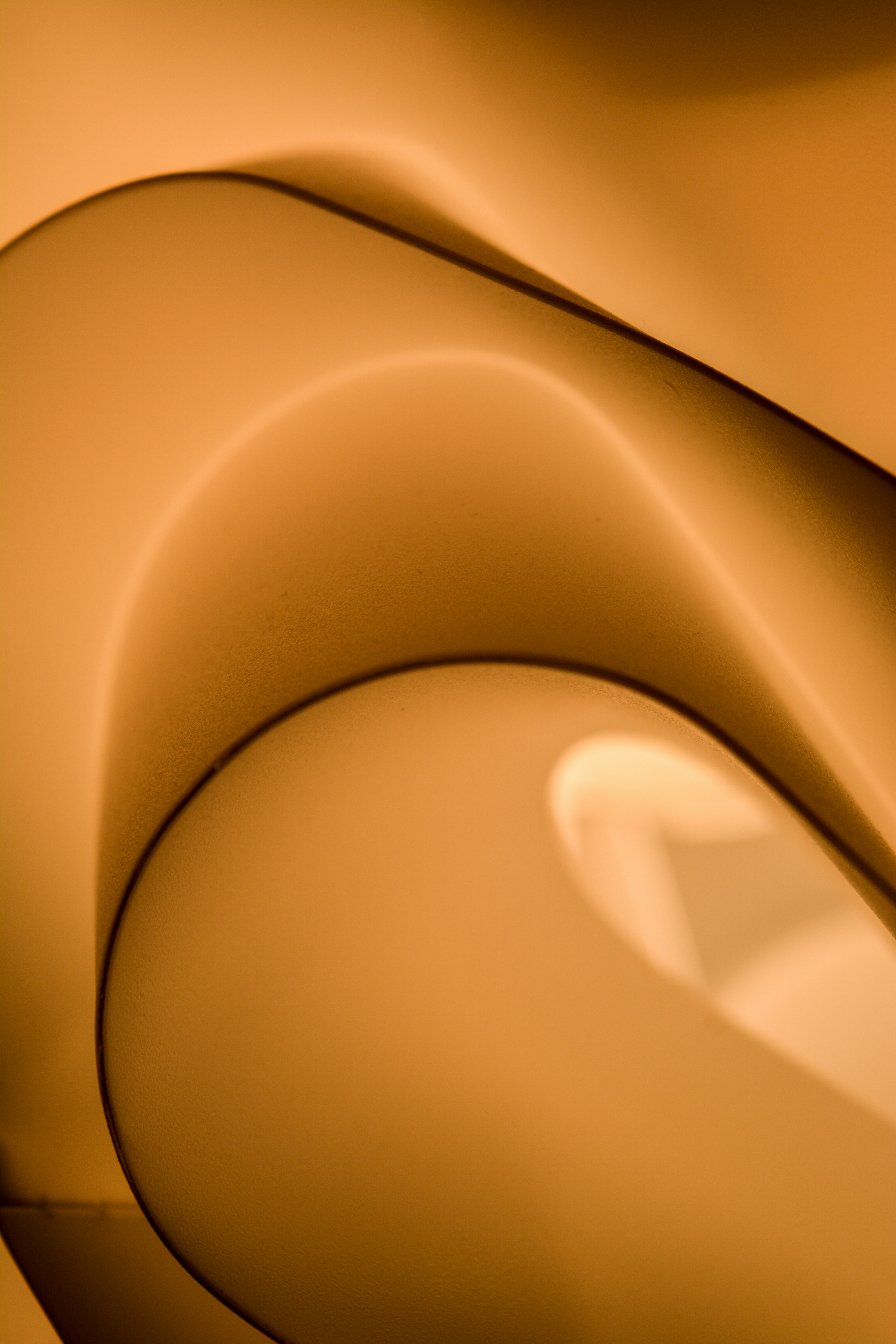 Photo by liamcharmer