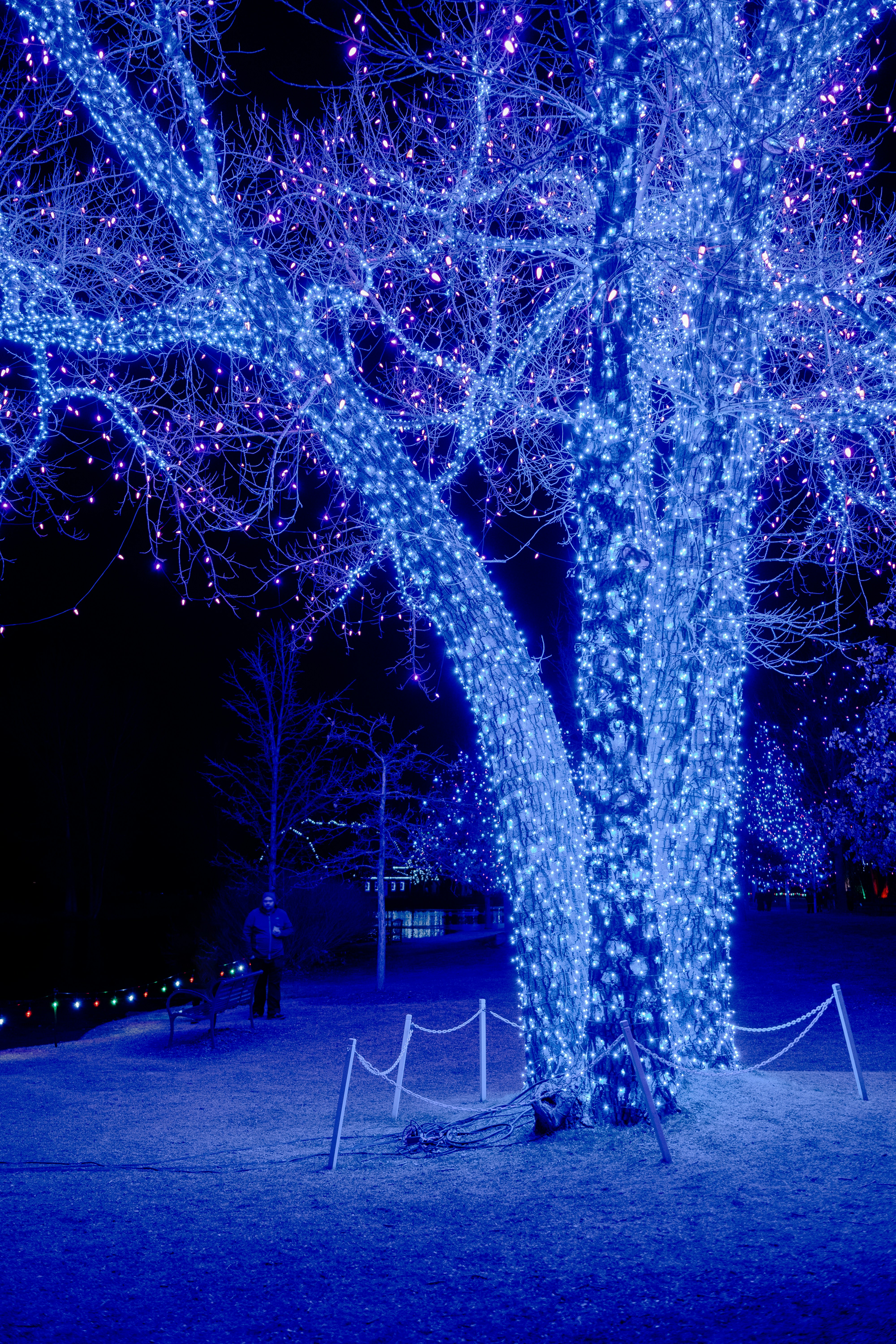 Free Hudson Gardens Image On Unsplash