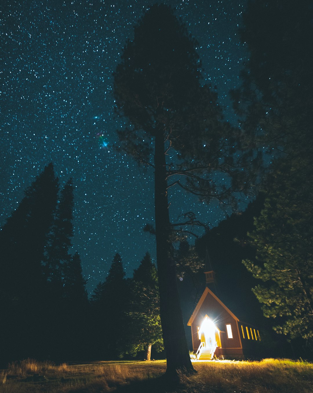 brown lighted house surrounded by trees