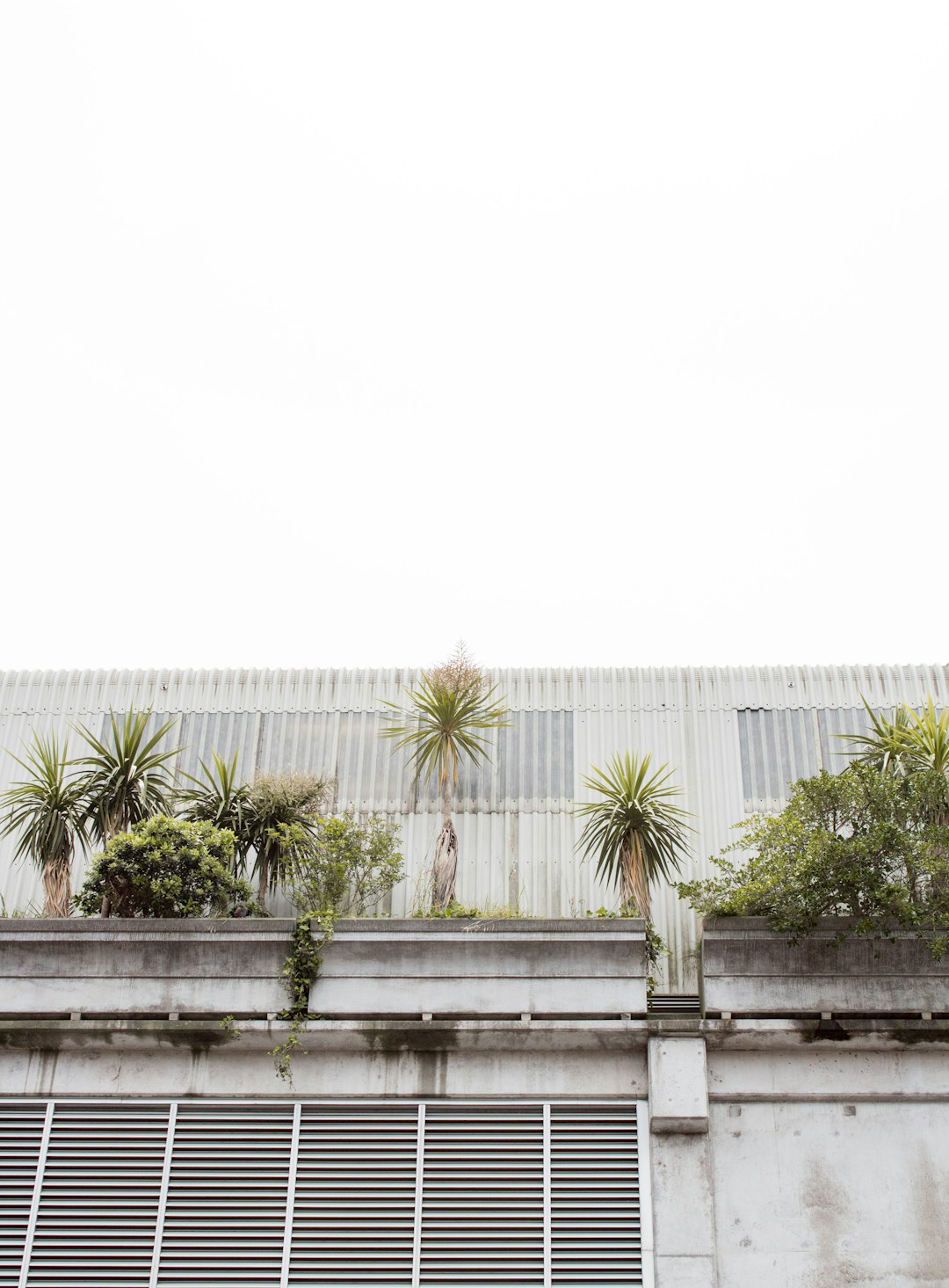 white painted building under white sky