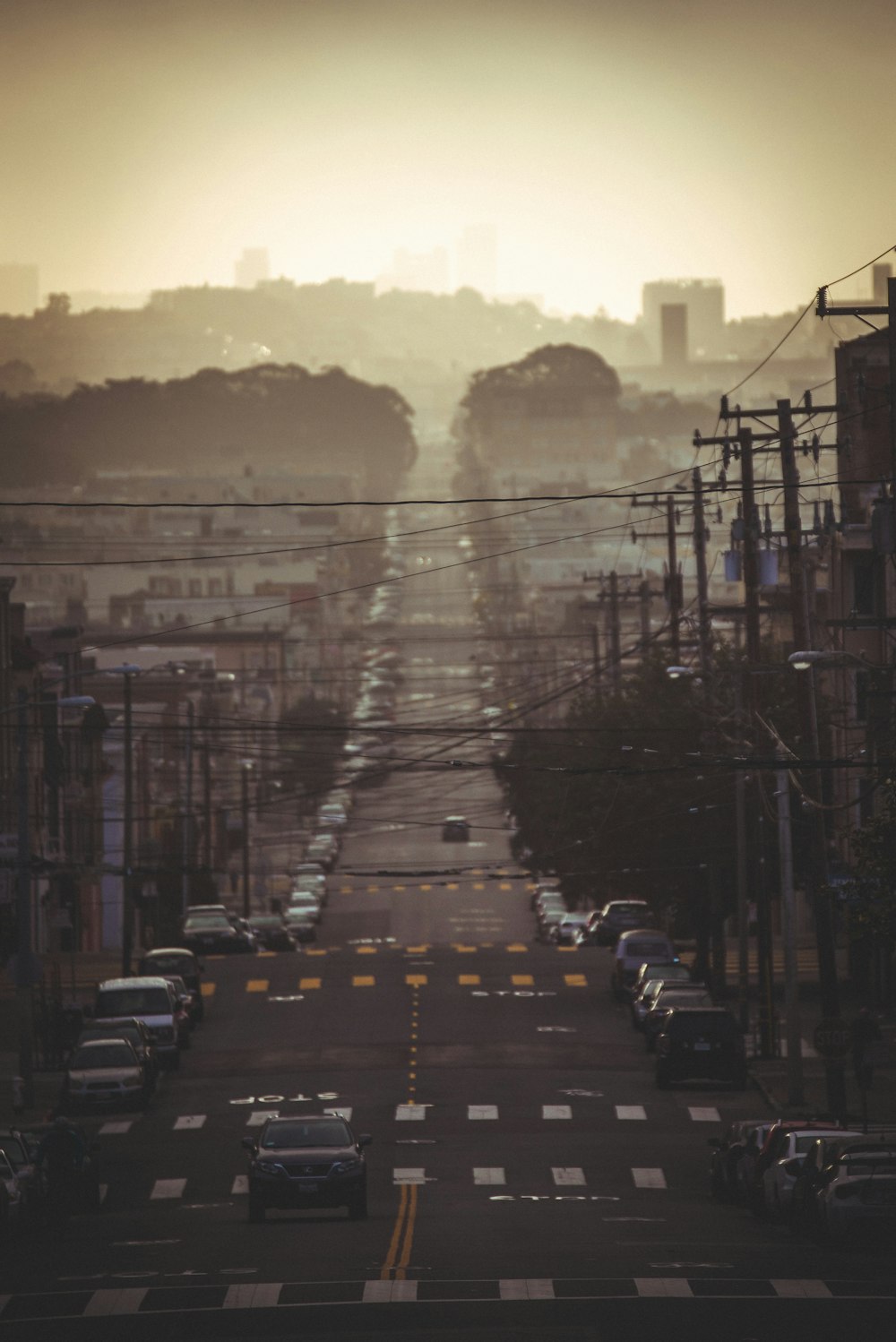 golden hour photography of cars parked beside road