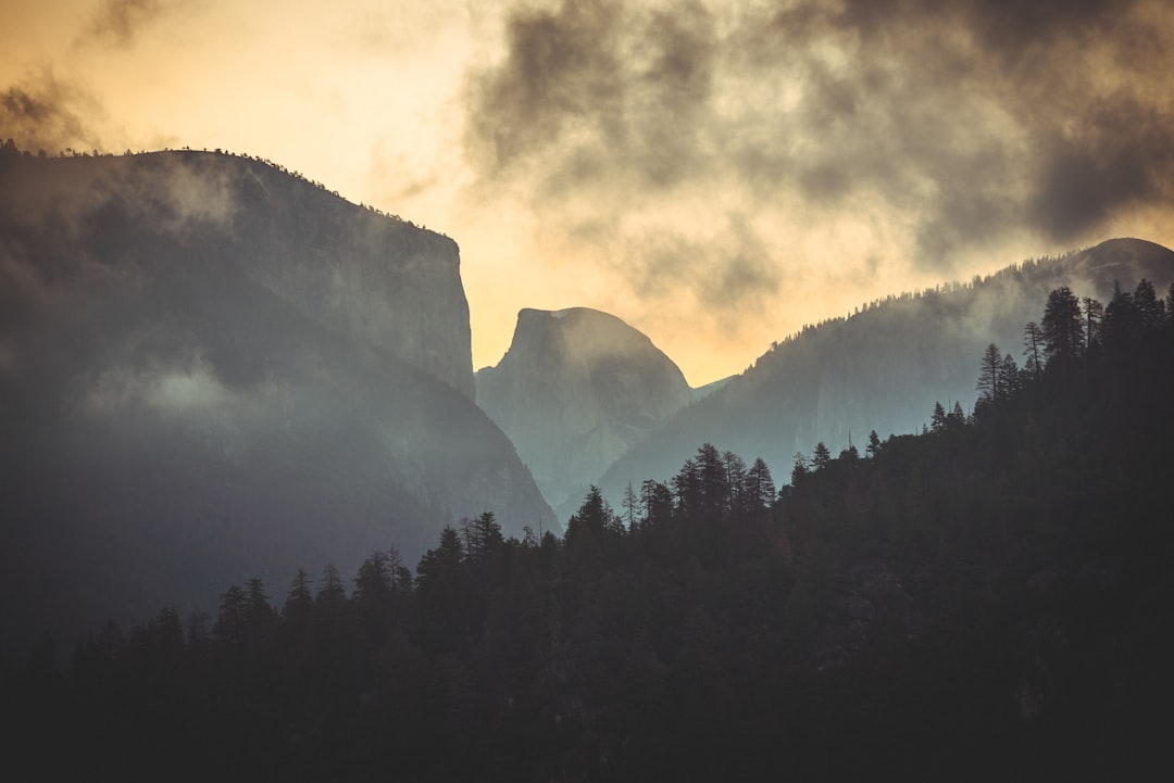 silhouette of trees near mountain during daytime