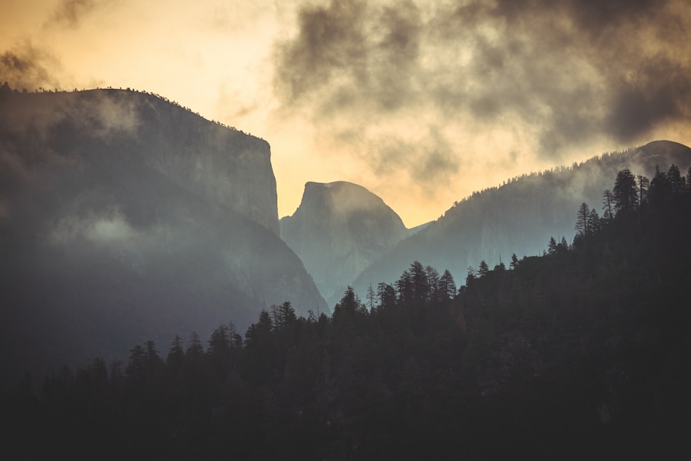 silhouette of trees near mountain during daytime