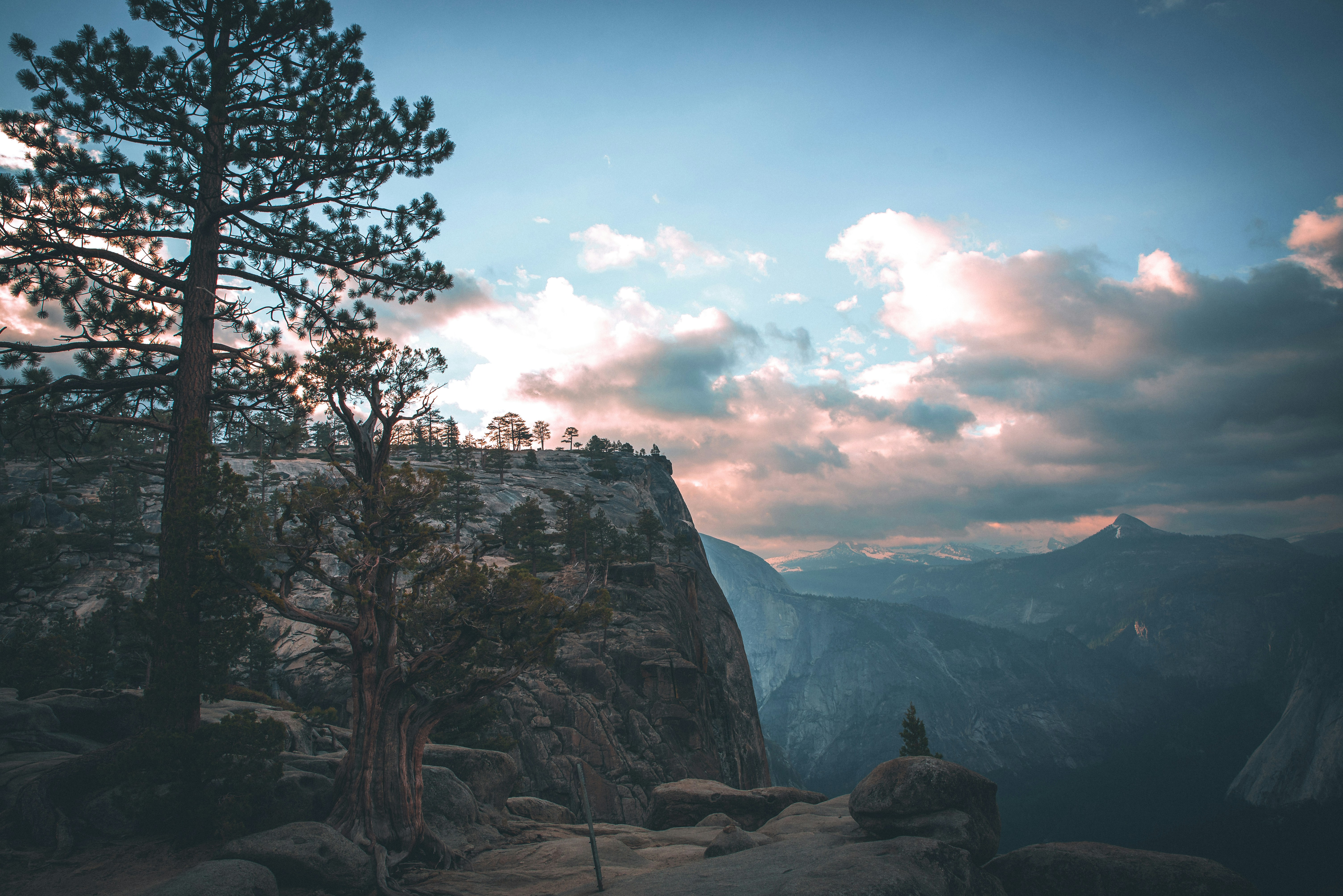 Photo by mischievous_penguins