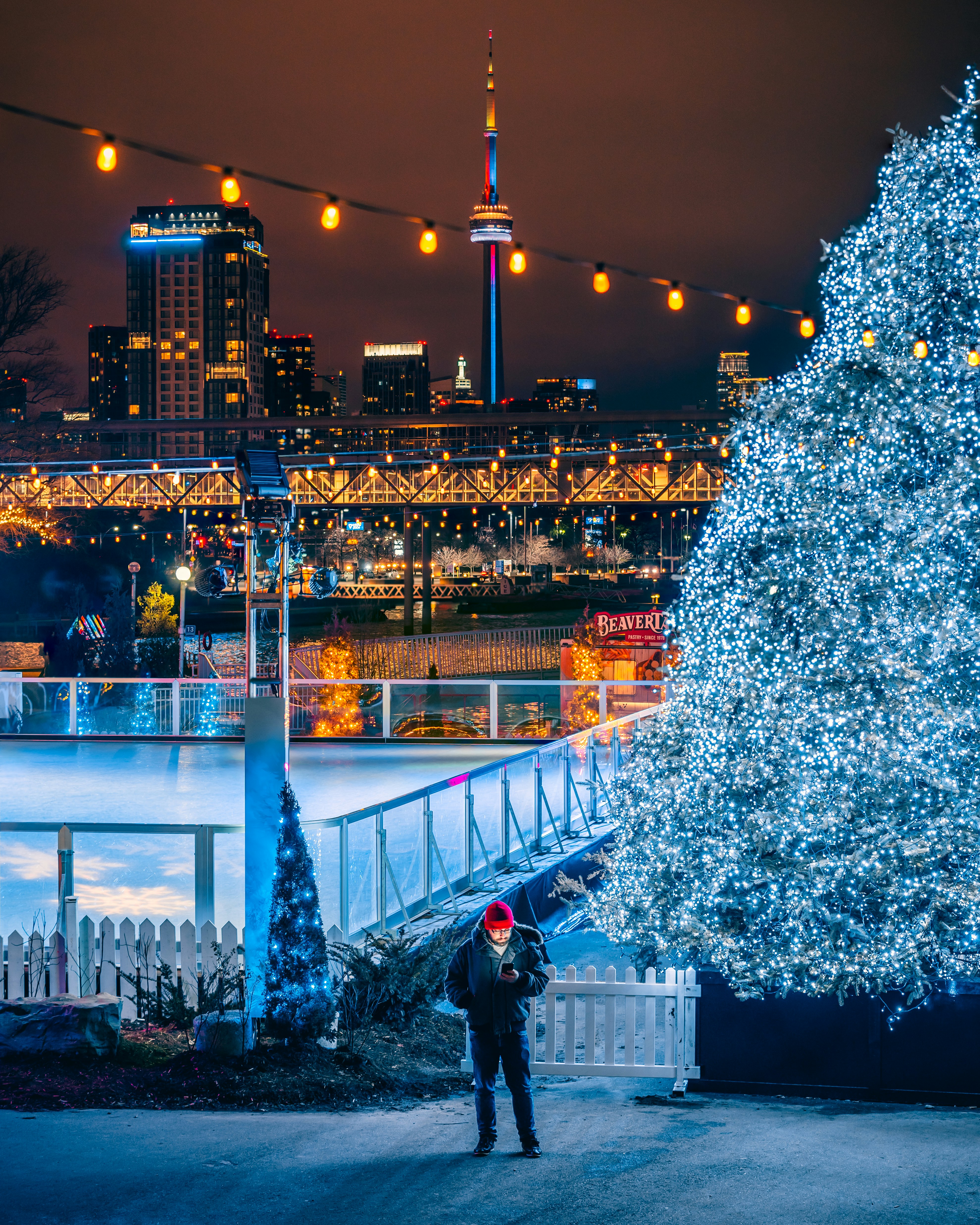 man standing front of lighted tree at night