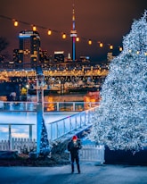 man standing front of lighted tree at night