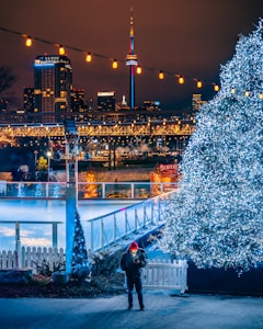 man standing front of lighted tree at night