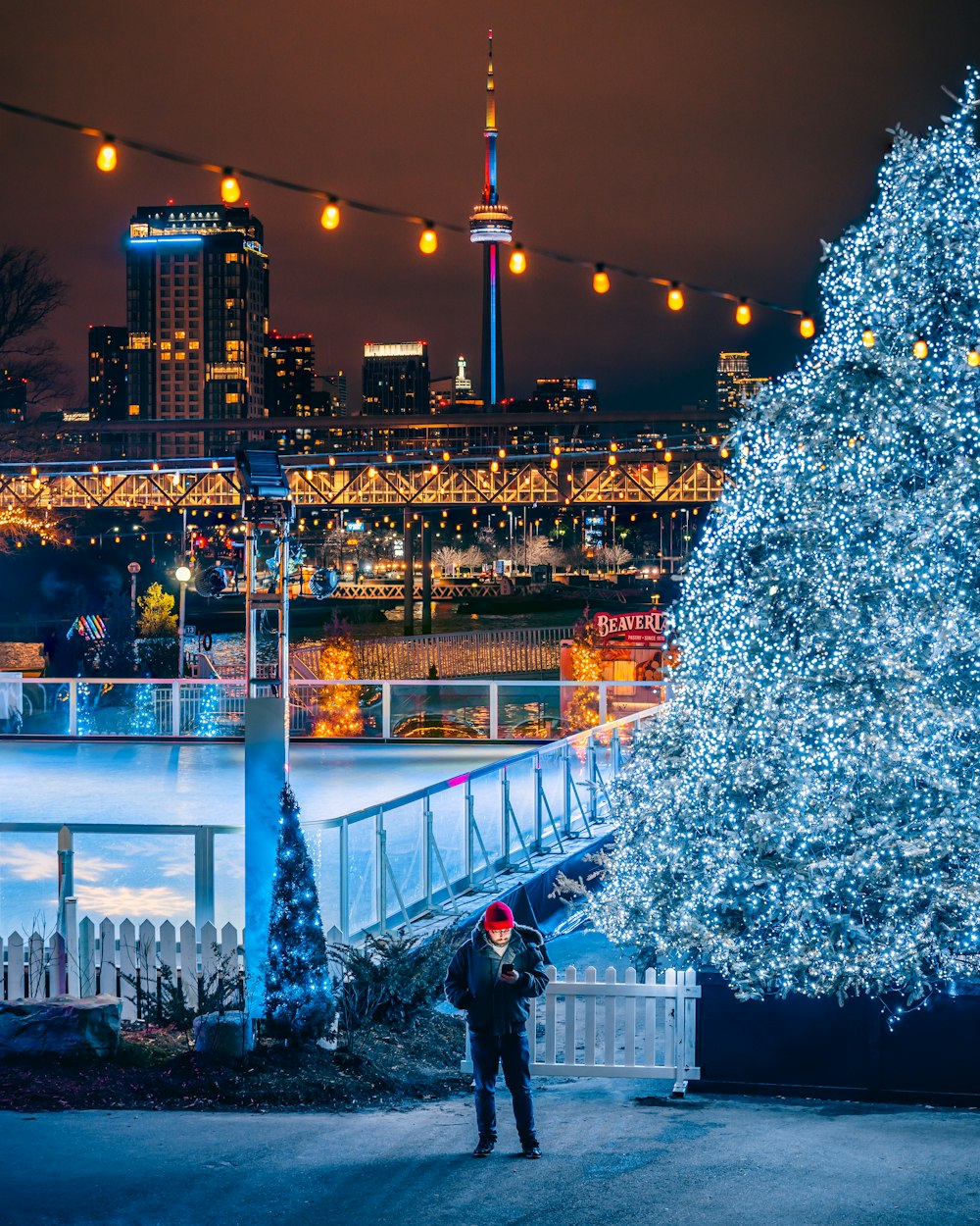 man standing front of lighted tree at night