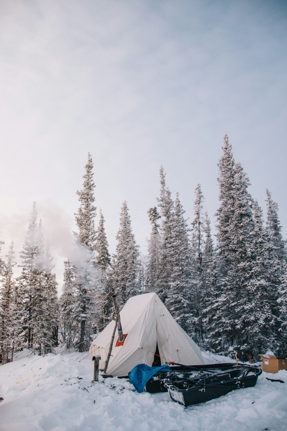 tenda branca ao lado de pinheiros cobertos de neve