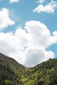 A serene landscape featuring two distant wooded hills, symbolizing strength and resilience.