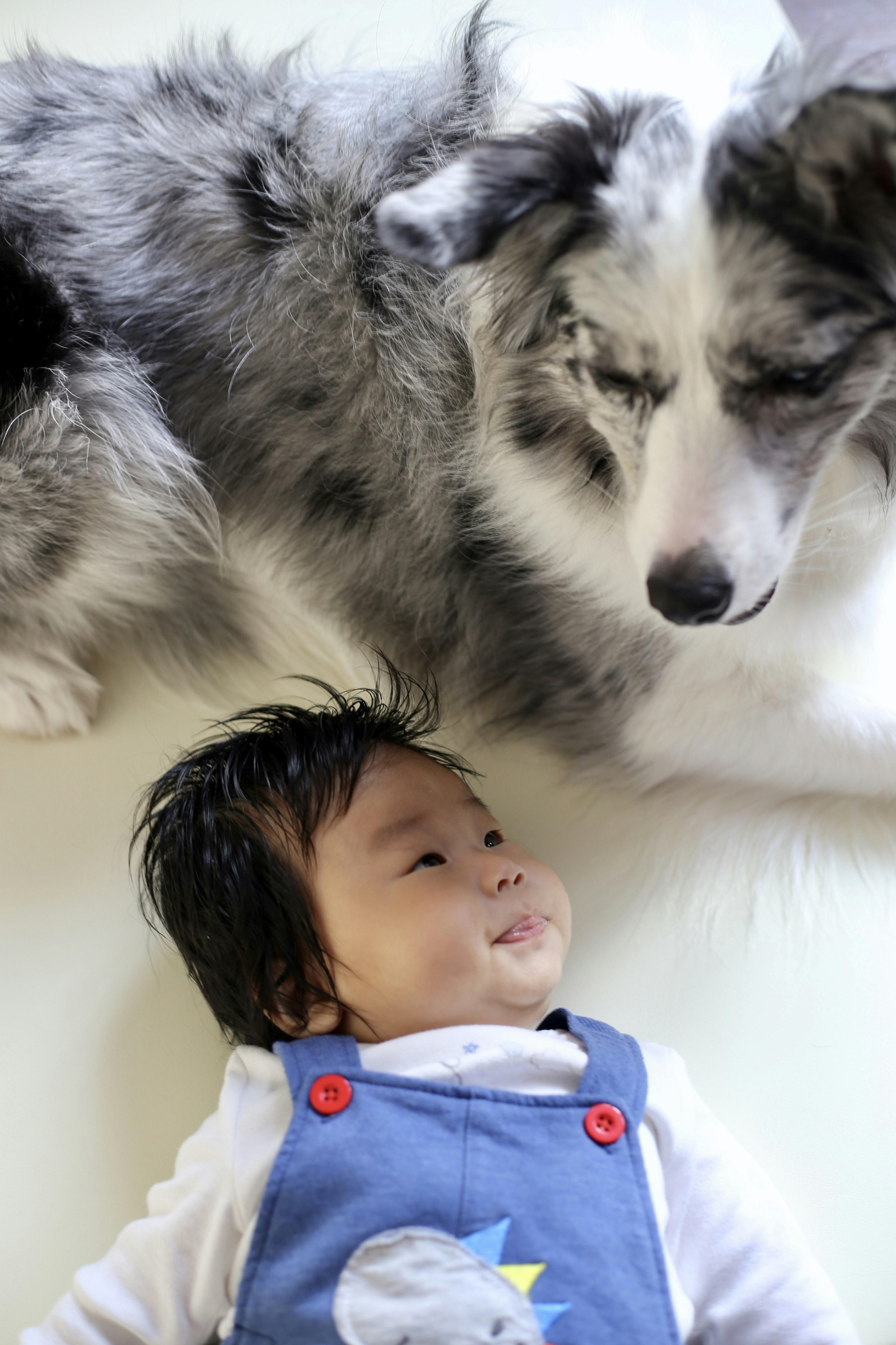 Tragédia em Jardim América: Bebê de 10 meses é fatalmente atacado por cachorro