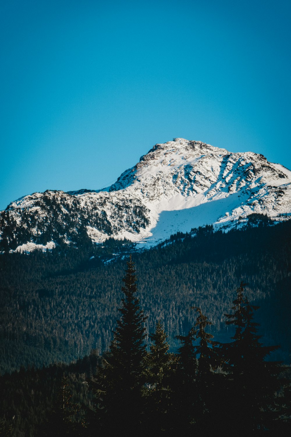 昼間の雪に覆われた岩山