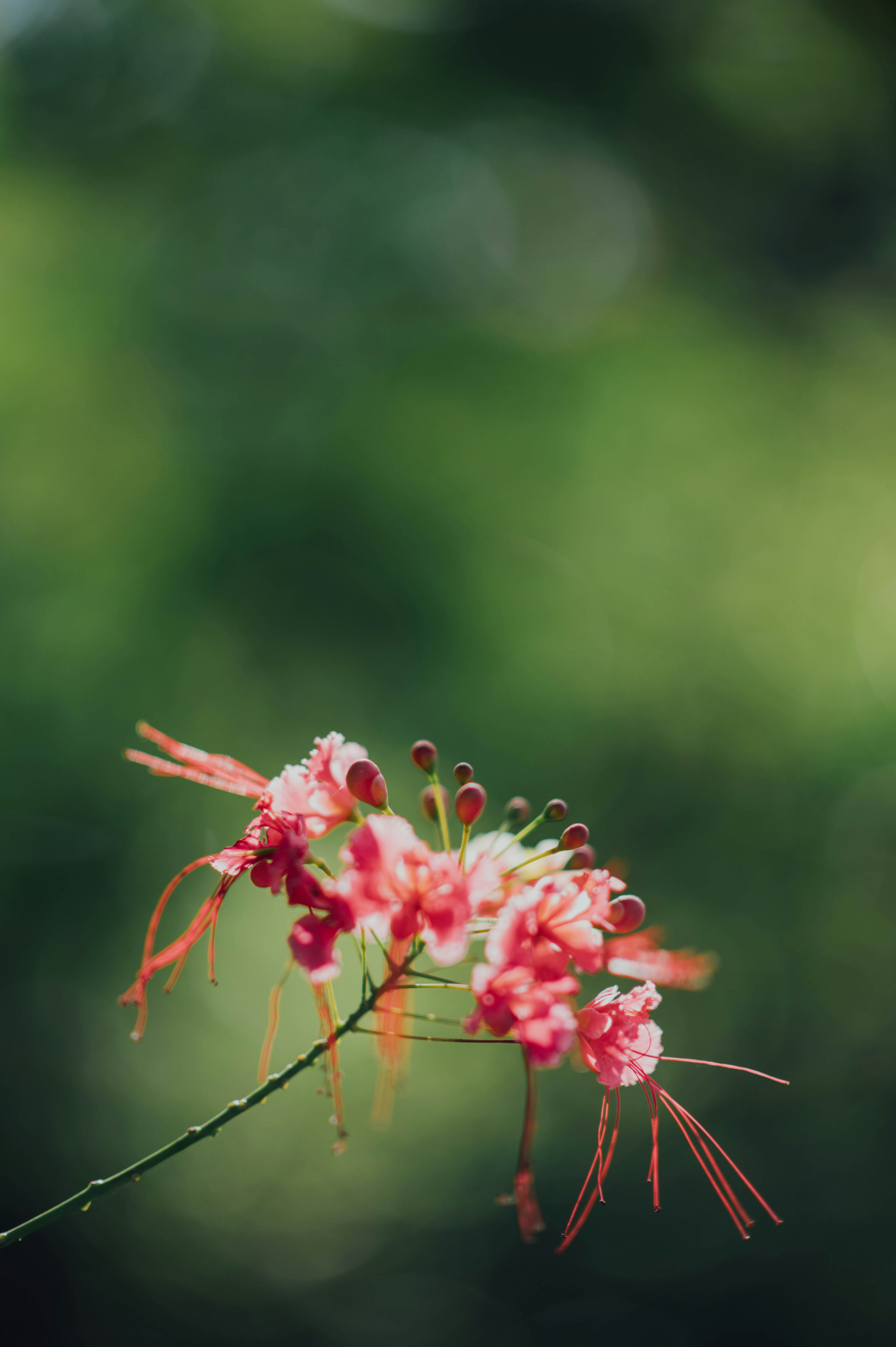 Photo by chuttersnap