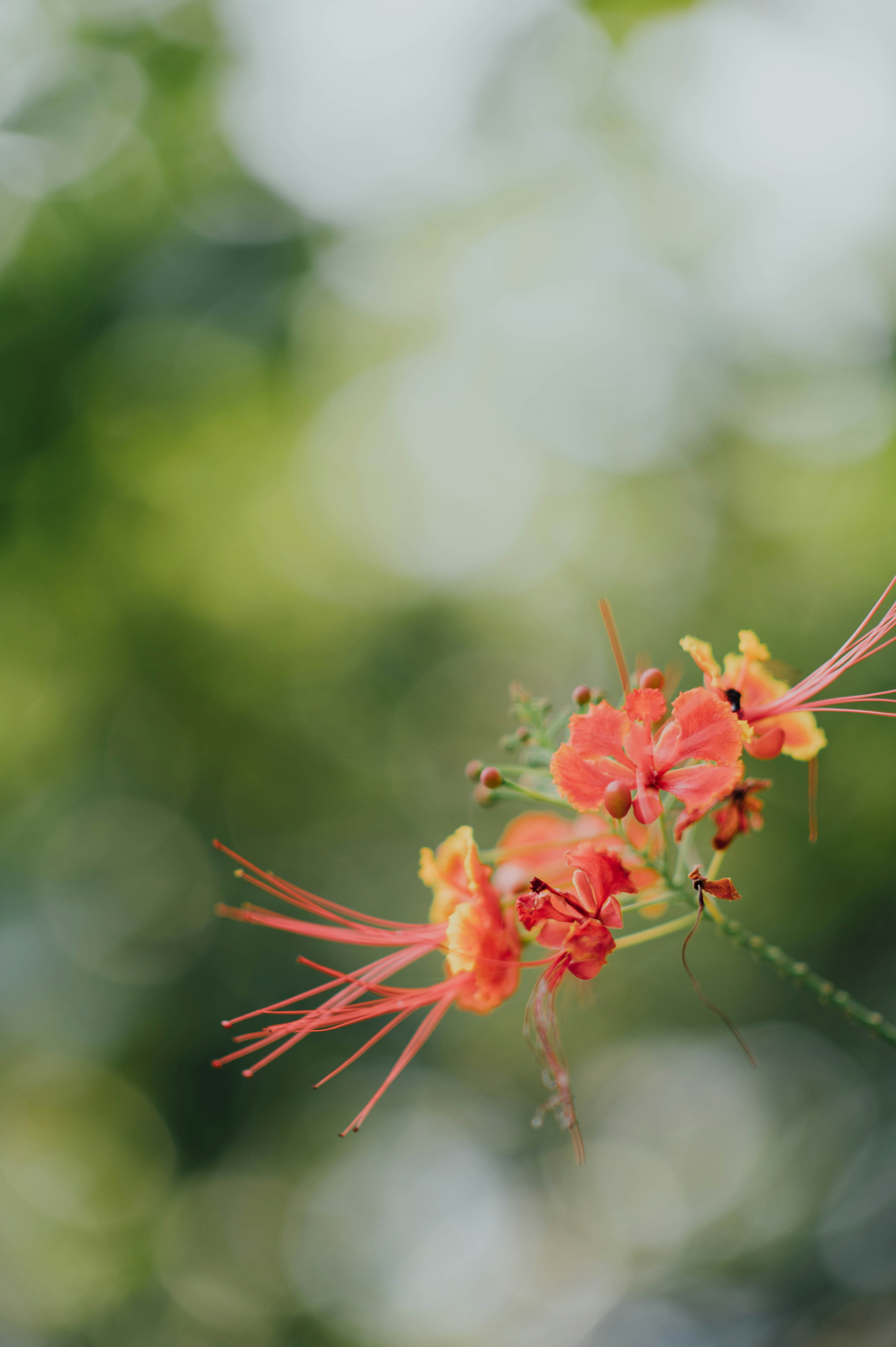 Photo by chuttersnap