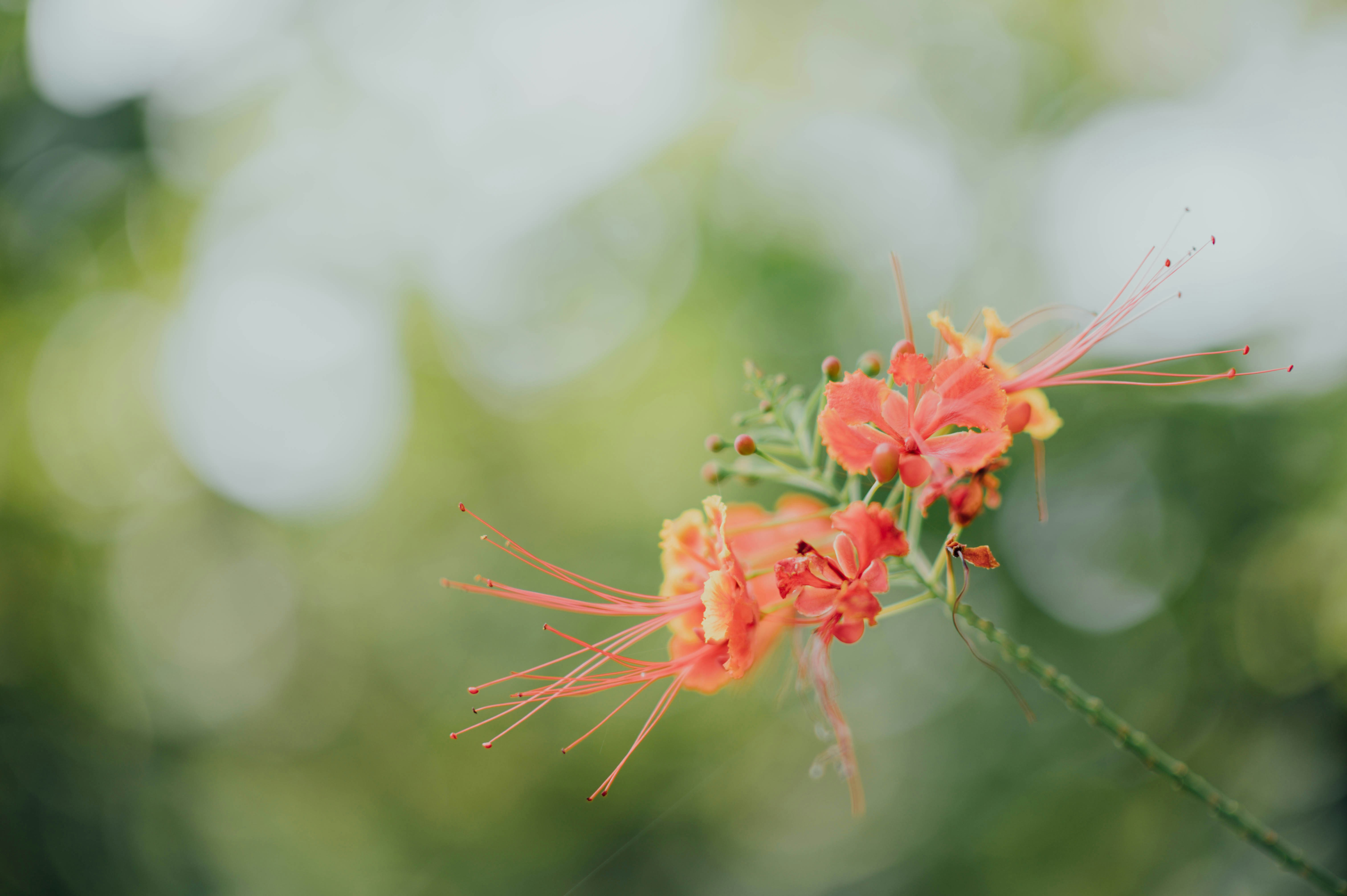 Photo by chuttersnap