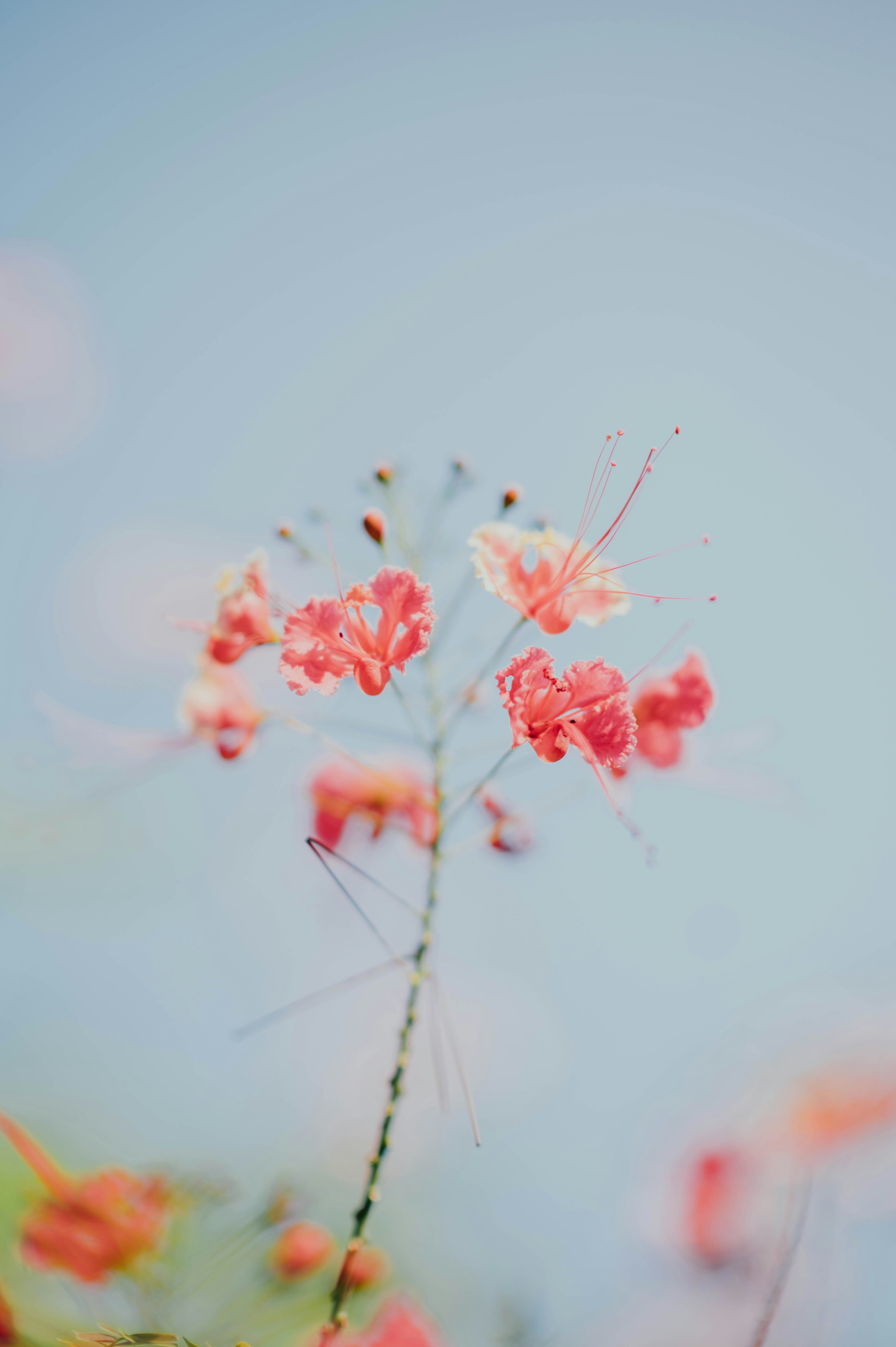 Photo by chuttersnap