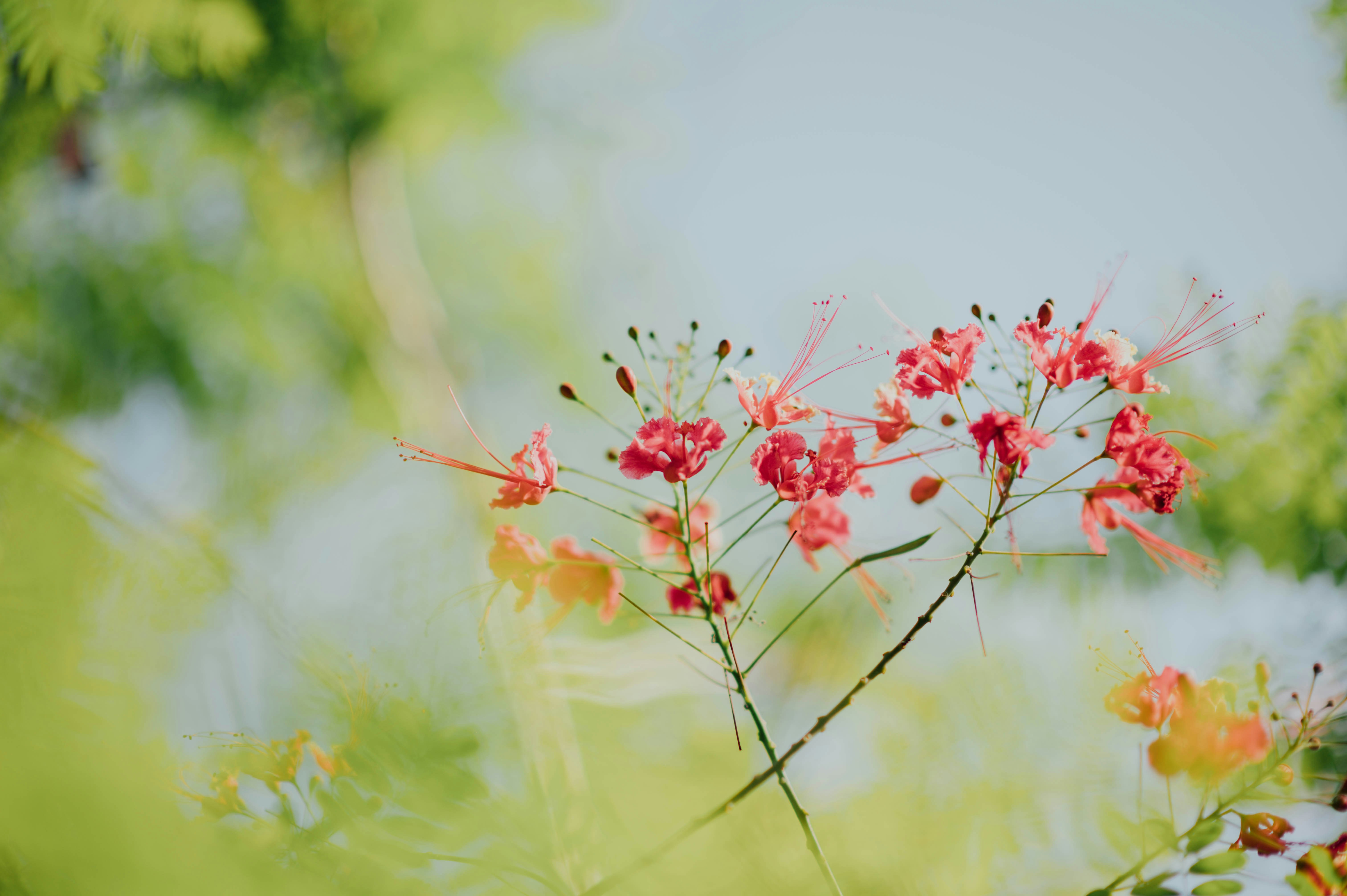 Photo by chuttersnap