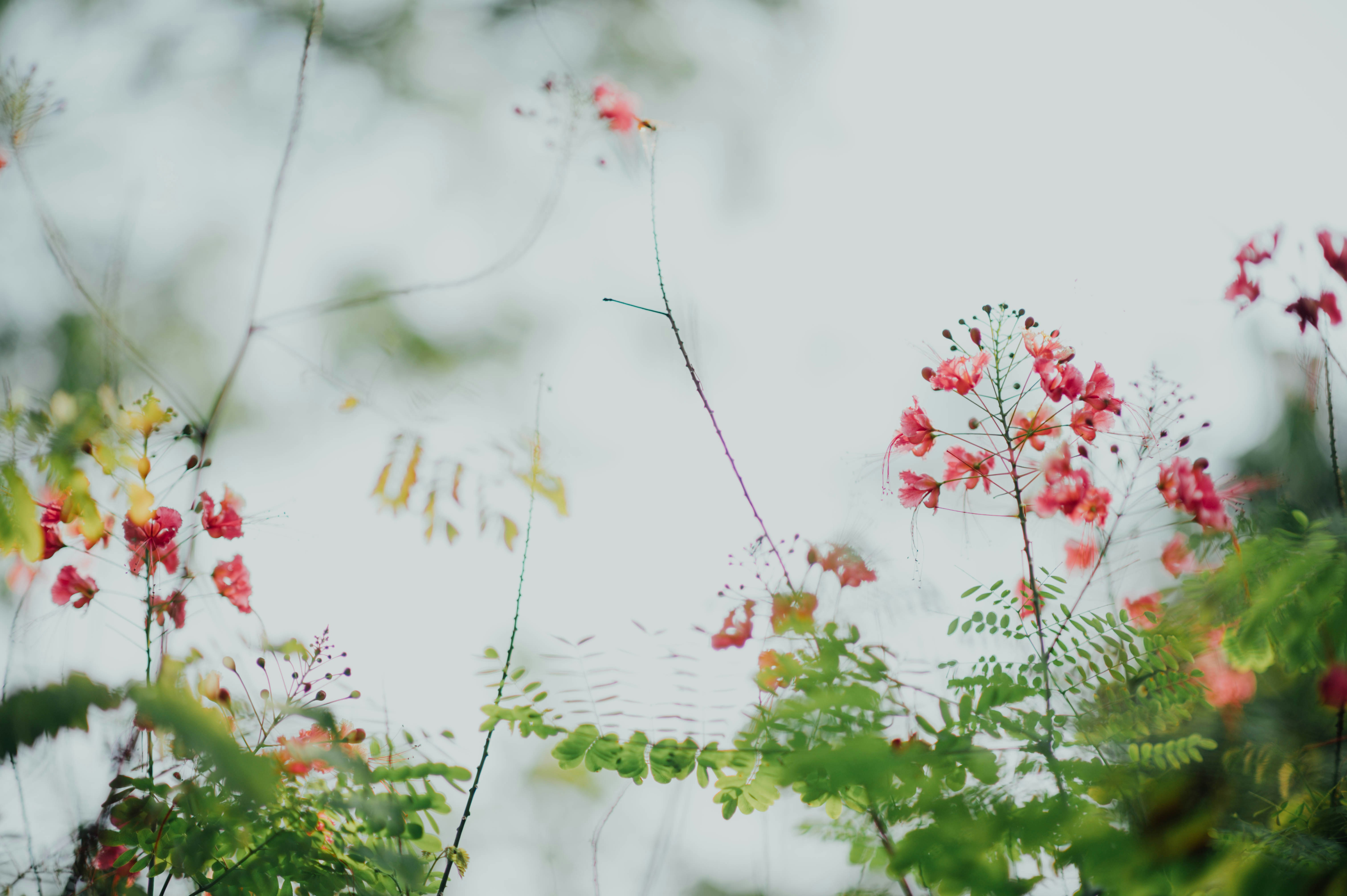 Photo by chuttersnap