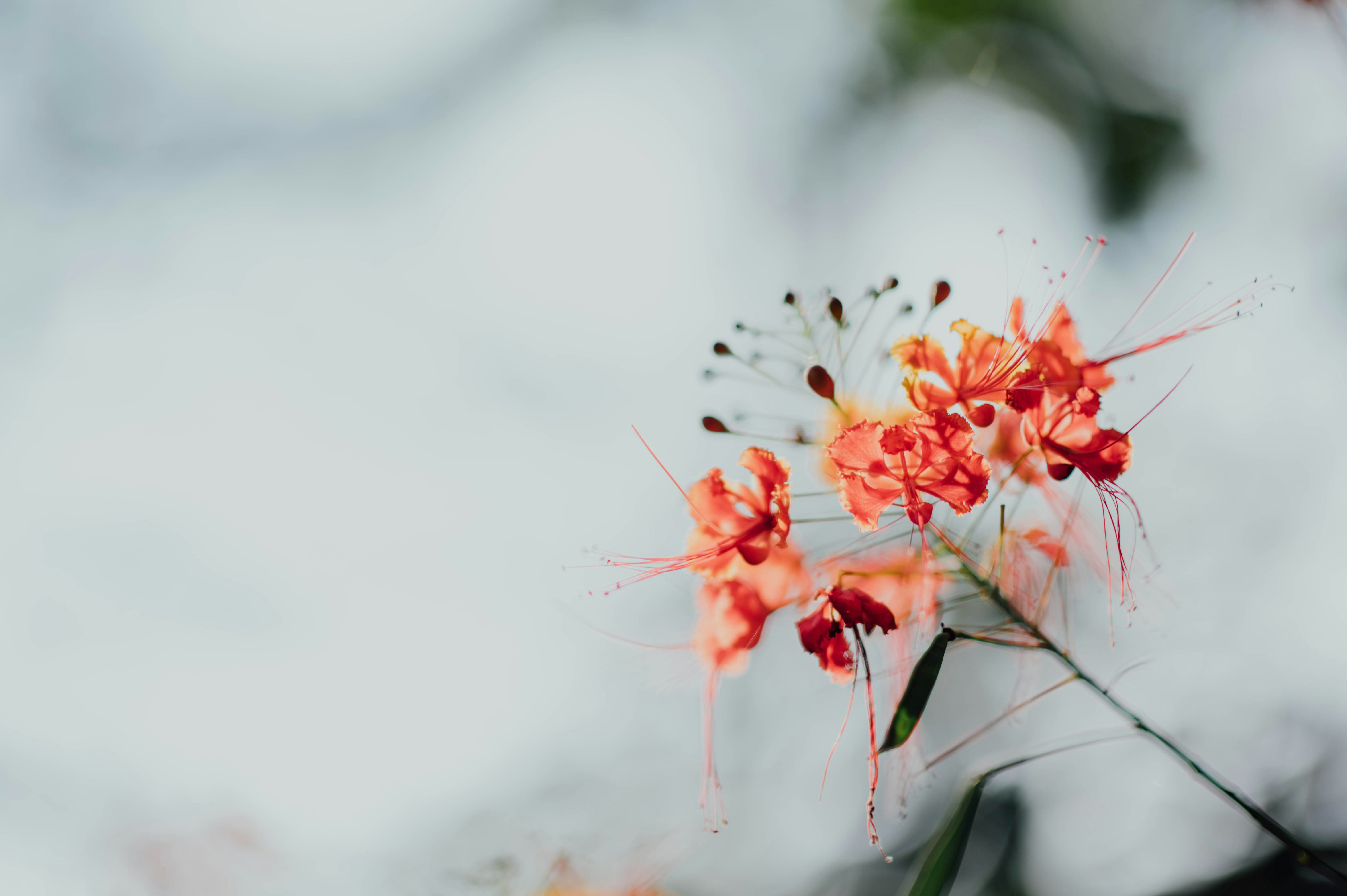 Photo by chuttersnap