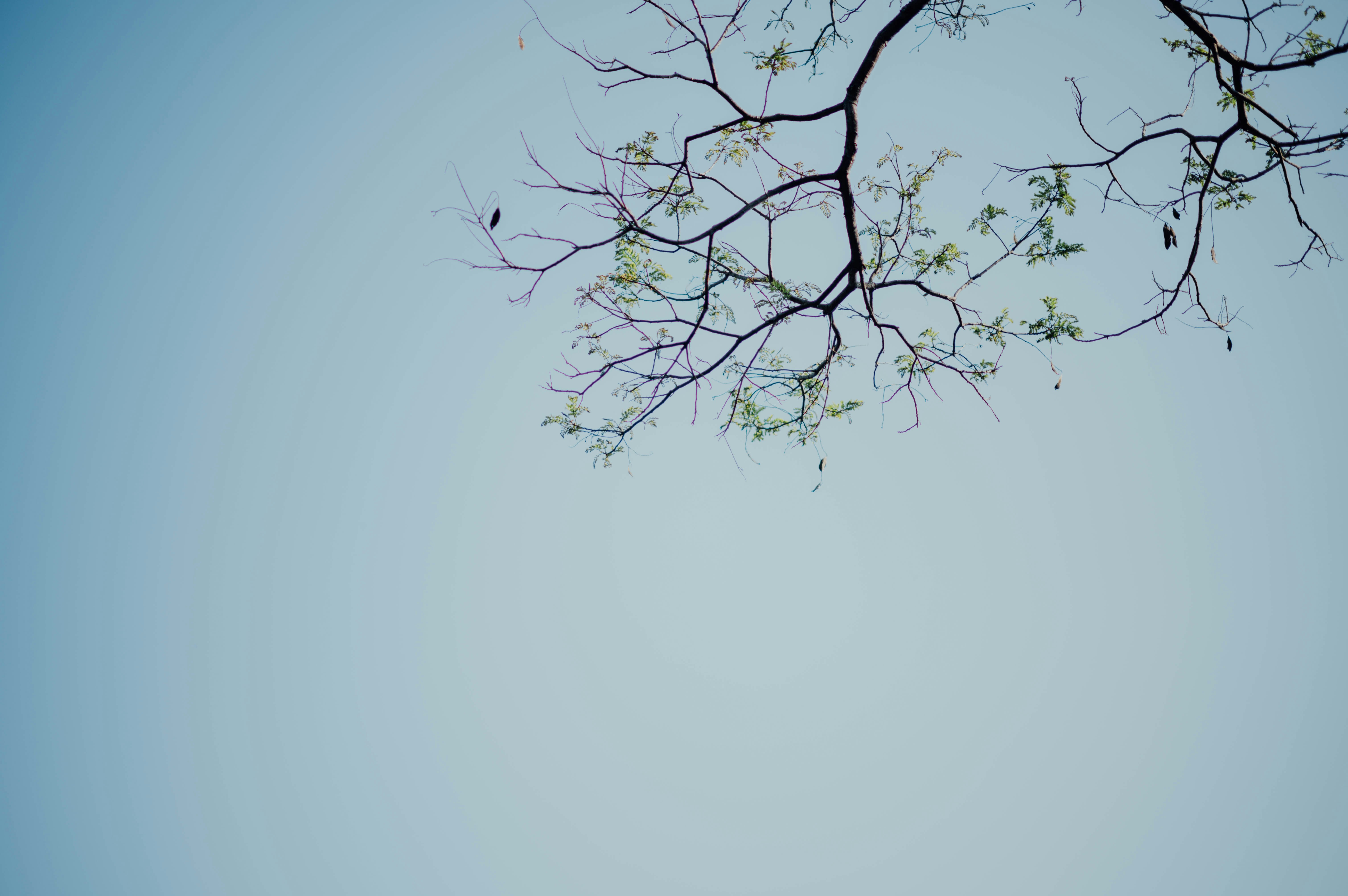 Photo by chuttersnap