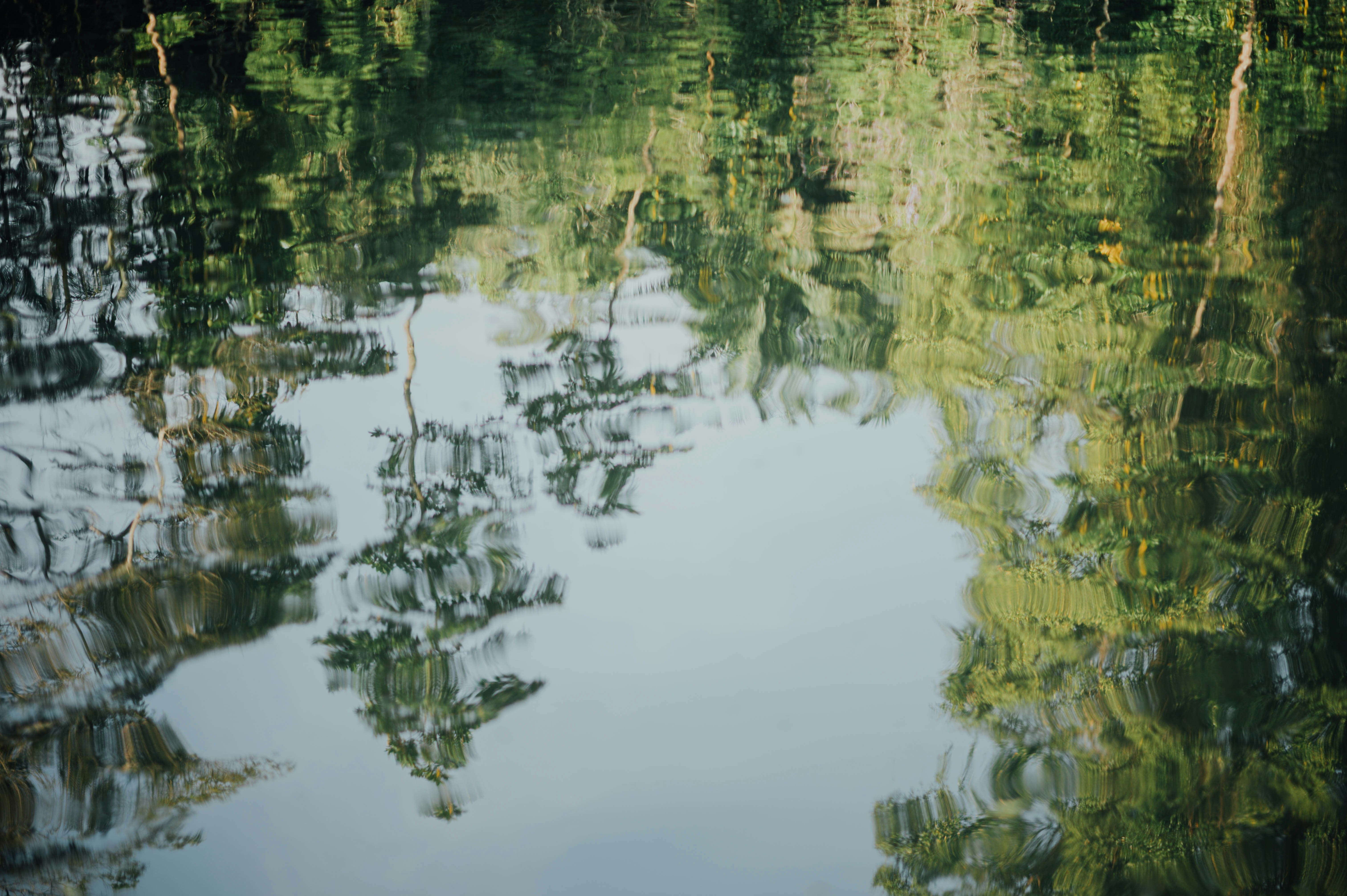 Photo by chuttersnap