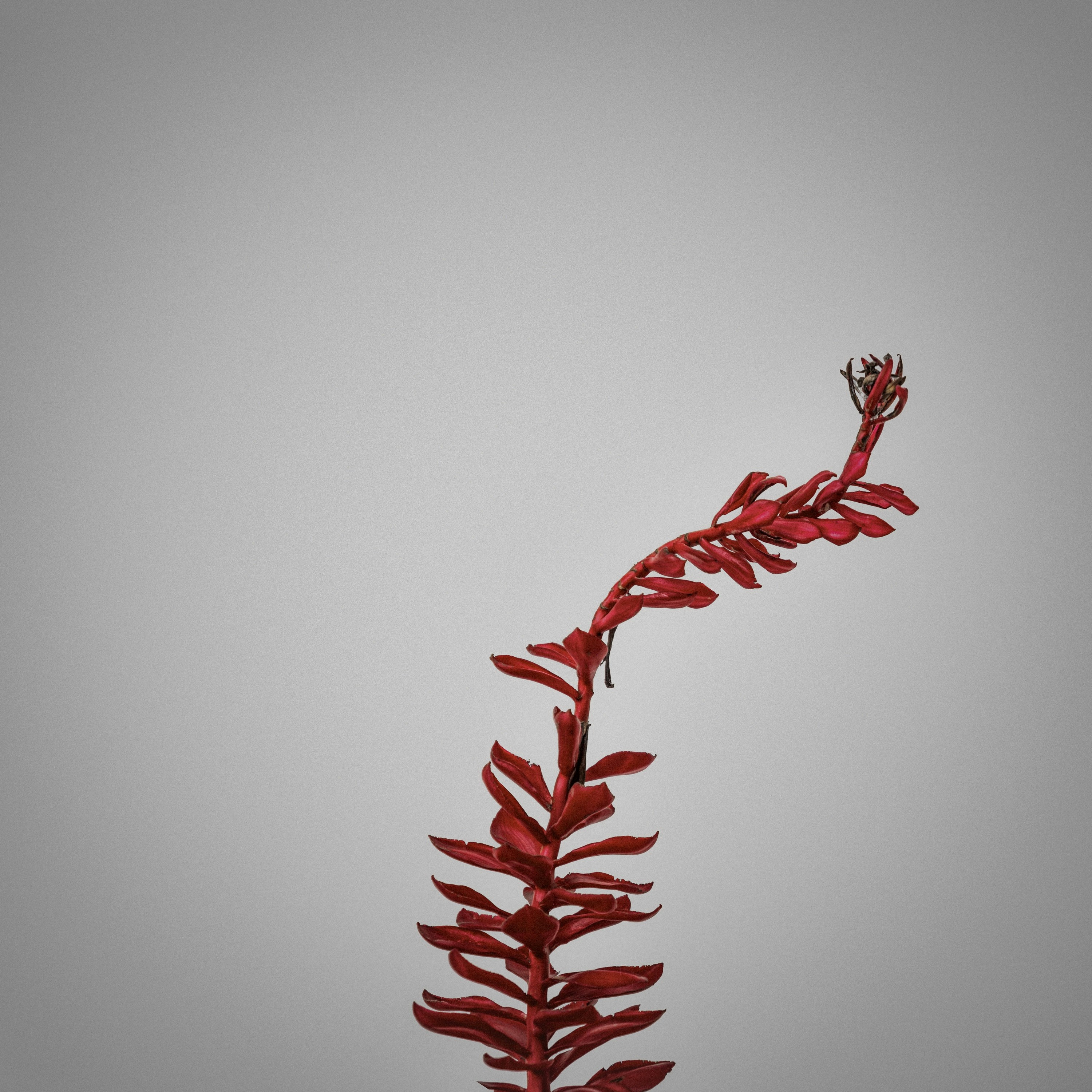 要吸引人，可能需要简洁明了，比如五邑快讯，五地最新动态与合作机遇。这样既涵盖了多个城市，又突出了合作和动态