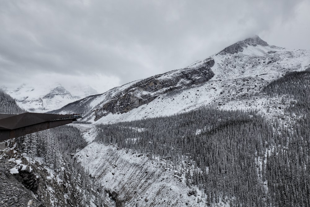 greyscale photo of pine trees with snow covered mountain