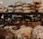 A variety of artisanal breads are neatly stacked on wooden shelves, featuring diverse textures and shapes. The assortment includes crusty round loaves, soft rolls, and rectangular loaves, some adorned with seeds.