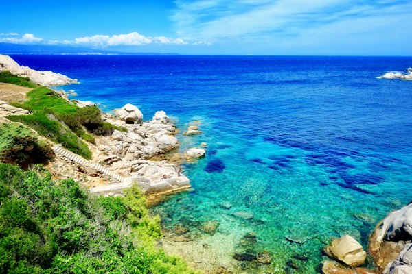 Green plant near calm blue sea — Sardinia, Italy