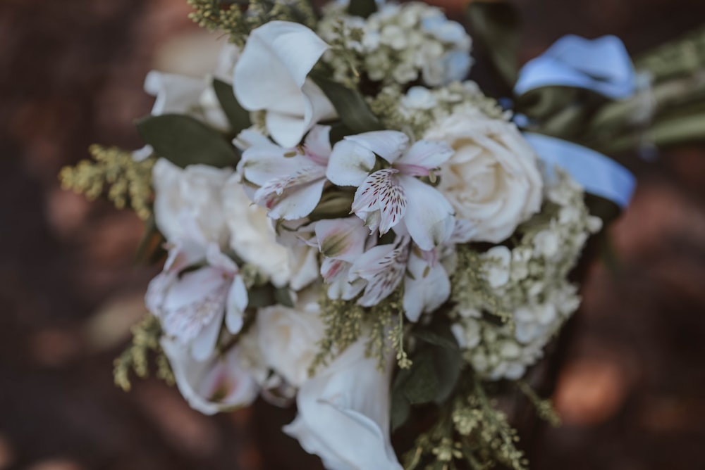 white petaled flower bouquet